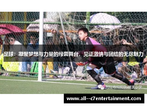足球:凝聚梦想与力量的绿茵舞台,见证激情与团结的无尽魅力 足球:凝聚梦想与力量的绿茵舞台,见证激情与团结的无尽魅力
