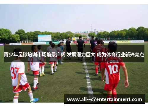 青少年足球培训市场前景广阔 发展潜力巨大 成为体育行业新兴亮点