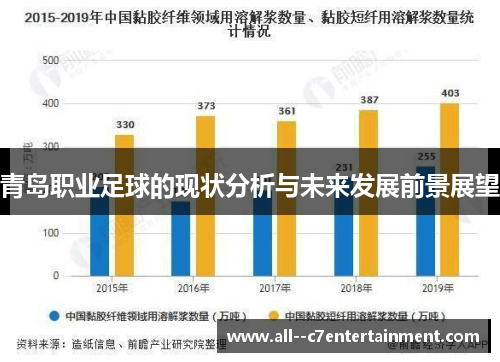 青岛职业足球的现状分析与未来发展前景展望
