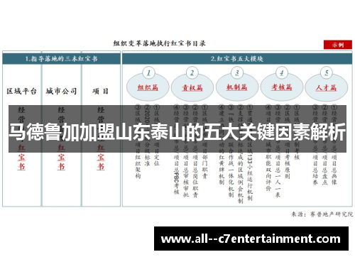 马德鲁加加盟山东泰山的五大关键因素解析