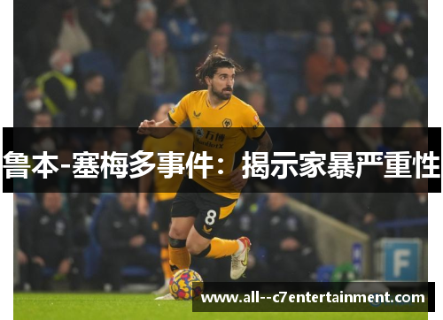 鲁本-塞梅多事件：揭示家暴严重性