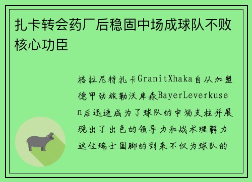 扎卡转会药厂后稳固中场成球队不败核心功臣 扎卡转会药厂后稳固中场成球队不败核心功臣