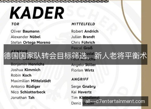 德国国家队转会目标筛选，新人老将平衡术